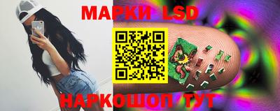 крисы Славгород