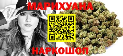 крисы Славгород
