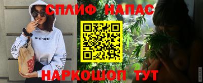 крисы Славгород