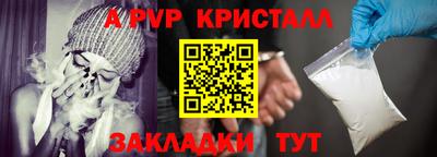 крисы Славгород