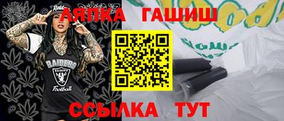 крисы Славгород