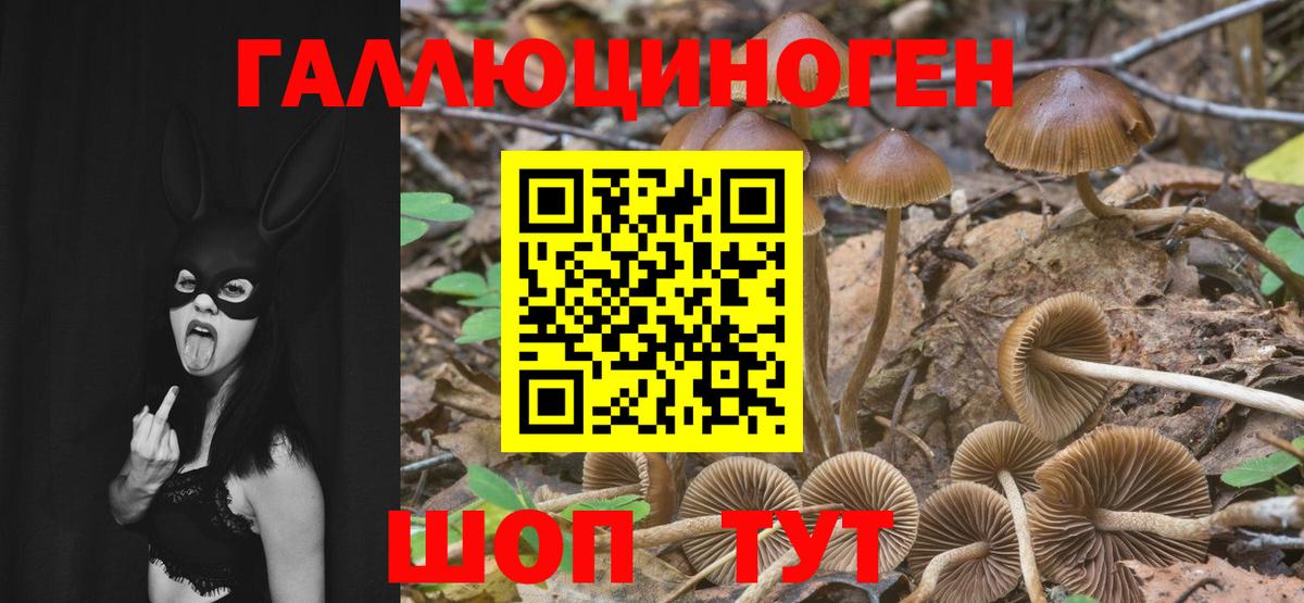 Псилоцибиновые грибы мицелий  Галлюциногенные грибы Psilocybine cubensis  Подольск  что такое наркотик  Вход с VPN 